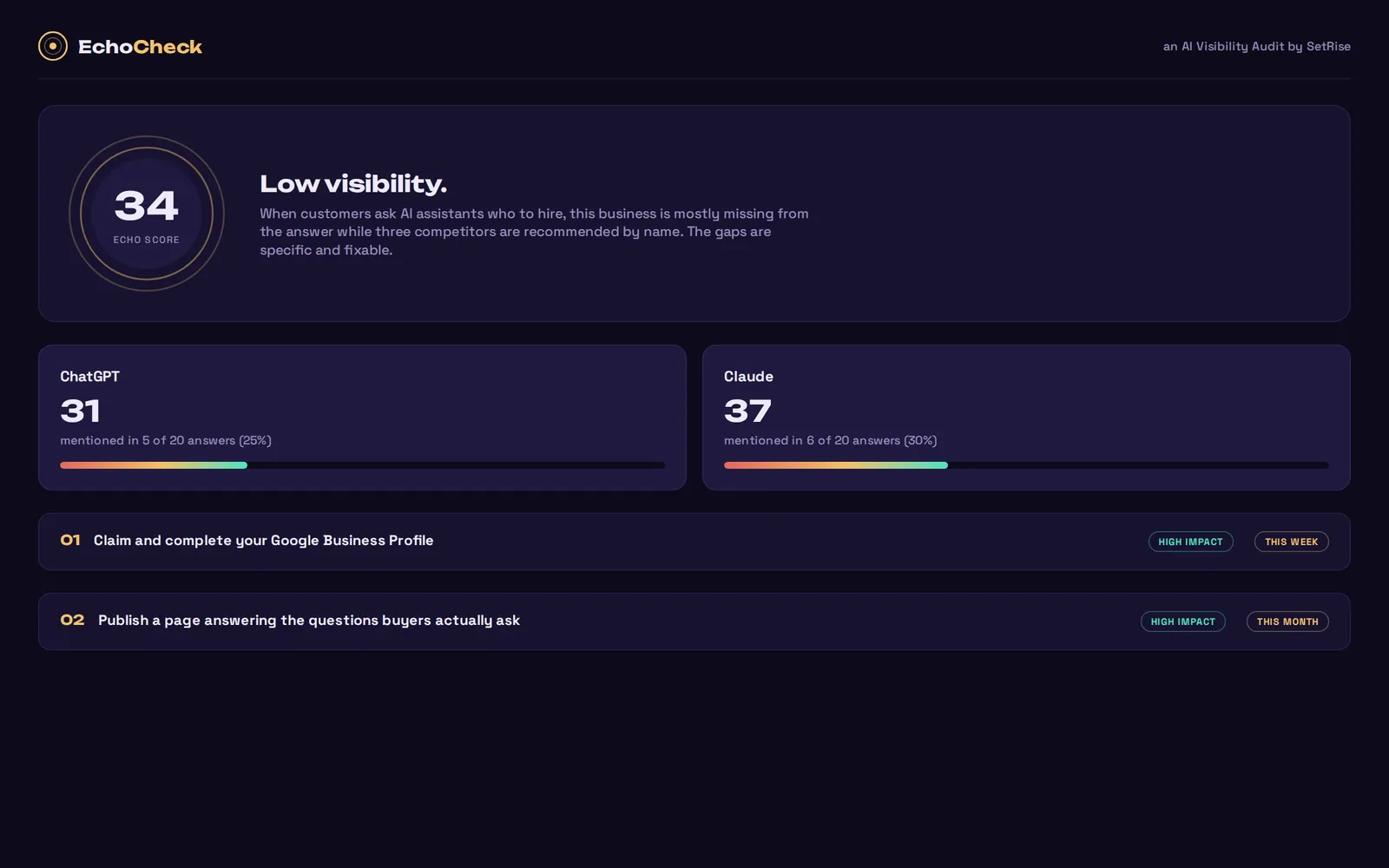 EchoCheck: AI visibility audit dashboard with echo score and action plan